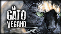 Mi Gato Vegano