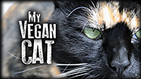 My Vegan Cat