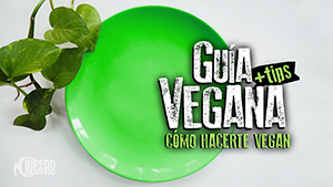 Guía Vegana - Cómo hacerte vegan + tips