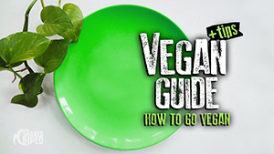 Vegan Guide - How to go vegan